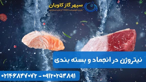 نیتروژن در صنایع غذایی