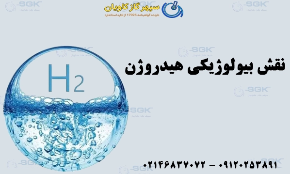 نقش بیولوژیکی هیدروژن