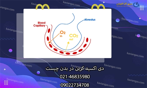 کربن دی اکسید در بدن-سپهر گاز کاویان