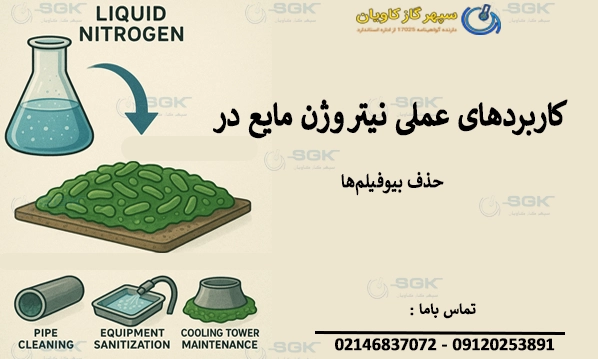 کاربردهای عملی نیتروژن مایع در حذف بیوفیلم‌ها